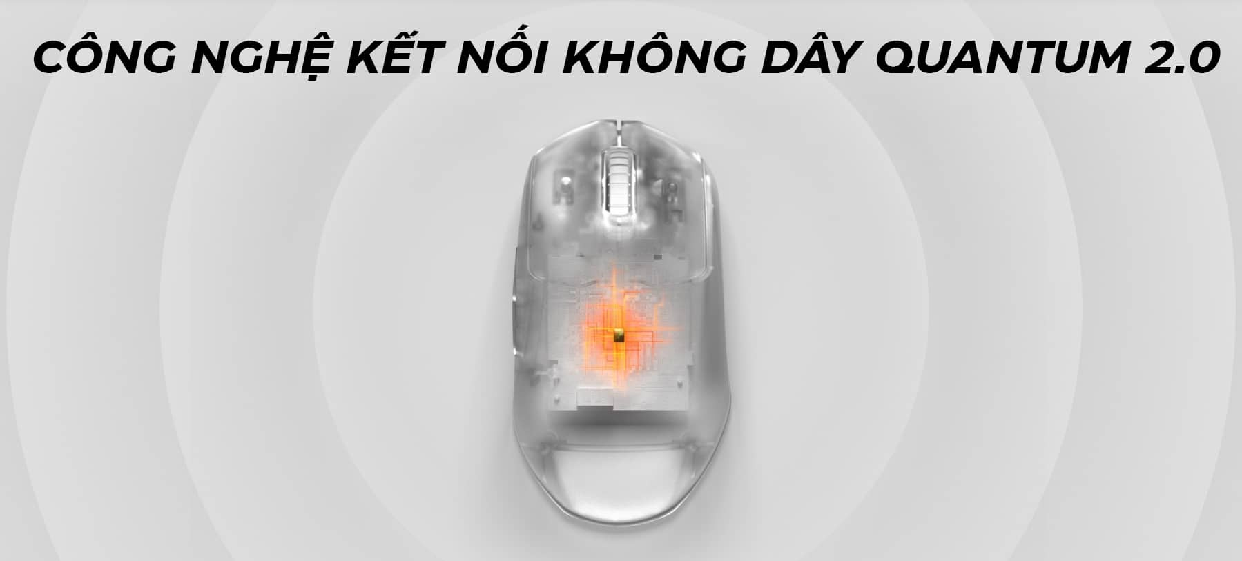 Chuột không dây Steelseries Prime Mini Wireless (62426) (USB) 5