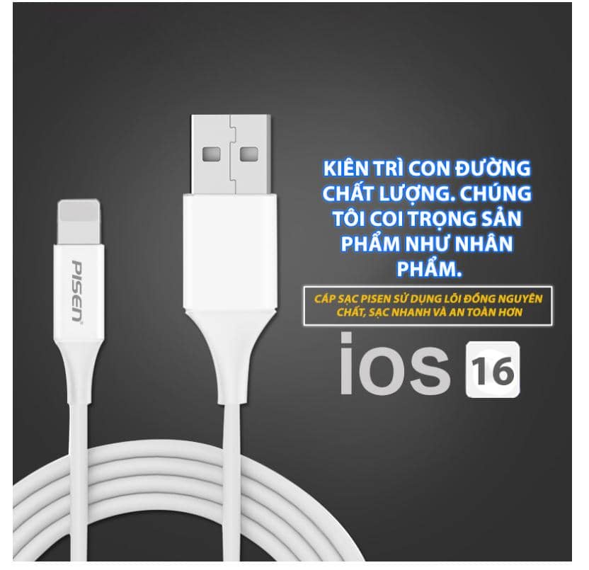 Cáp PISEN - Mr White Lightning USB-A 1m, trắng - Global 2