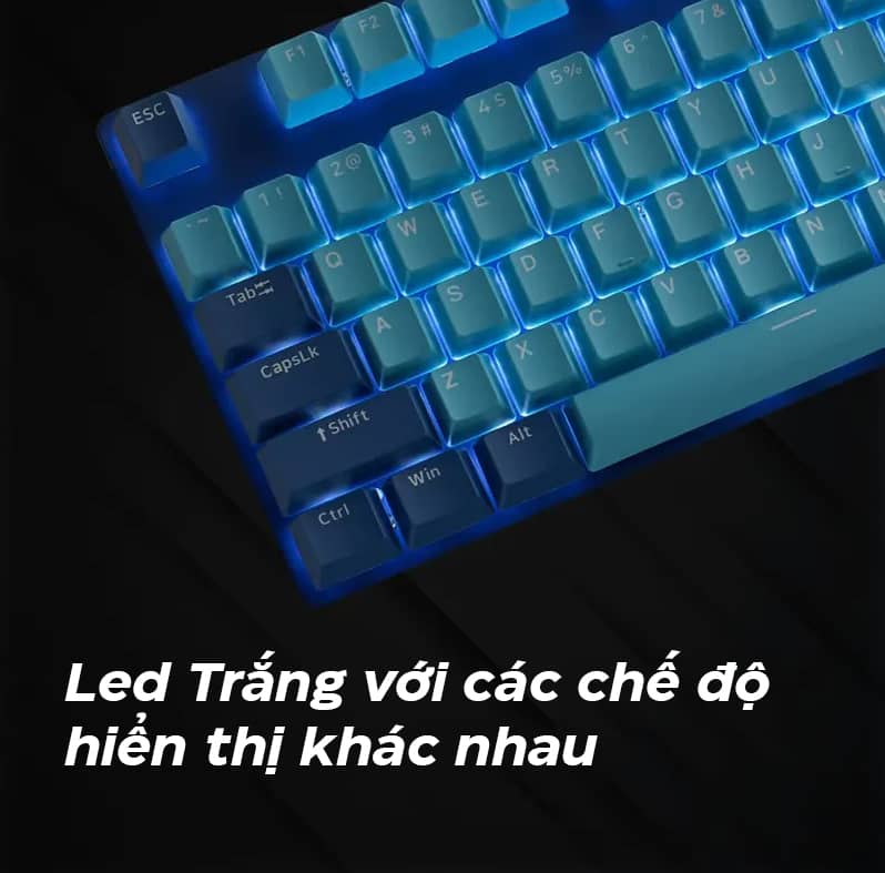 Rapoo V500 Pro Cyan Blue 4