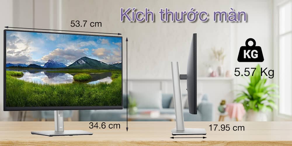 Màn hình Dell P2422H 2