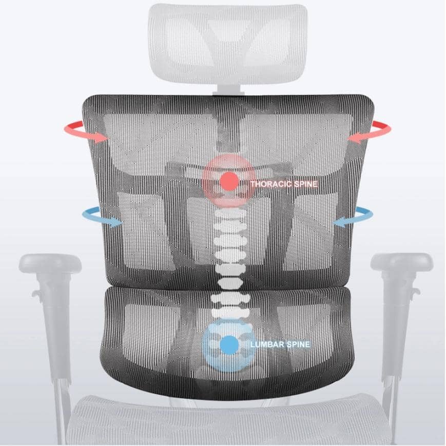 Ghế công thái học ERGOHOME NOVA (Khung đen, lưới đen) 3