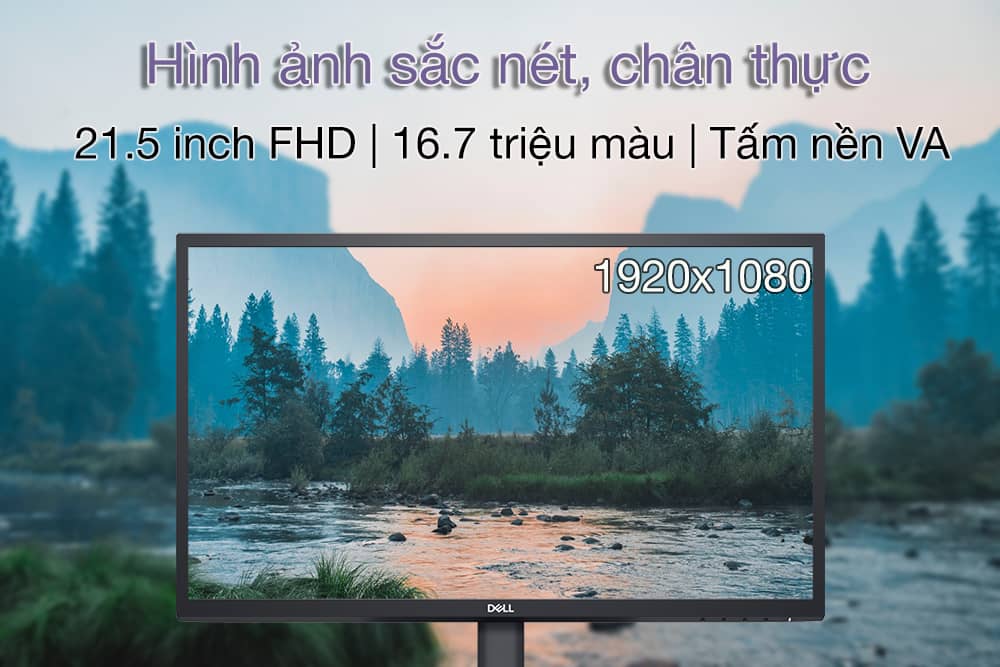 Màn hình Dell SE2222H 3