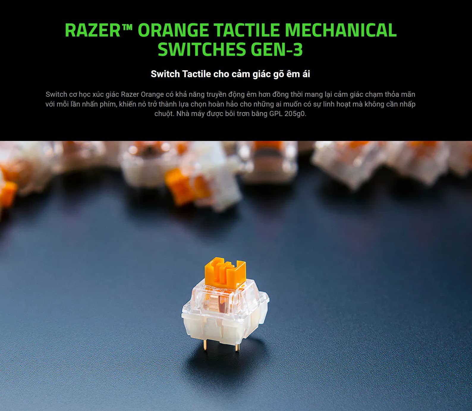 Bàn phím cơ có dây Razer BlackWidow V4 75% RGB