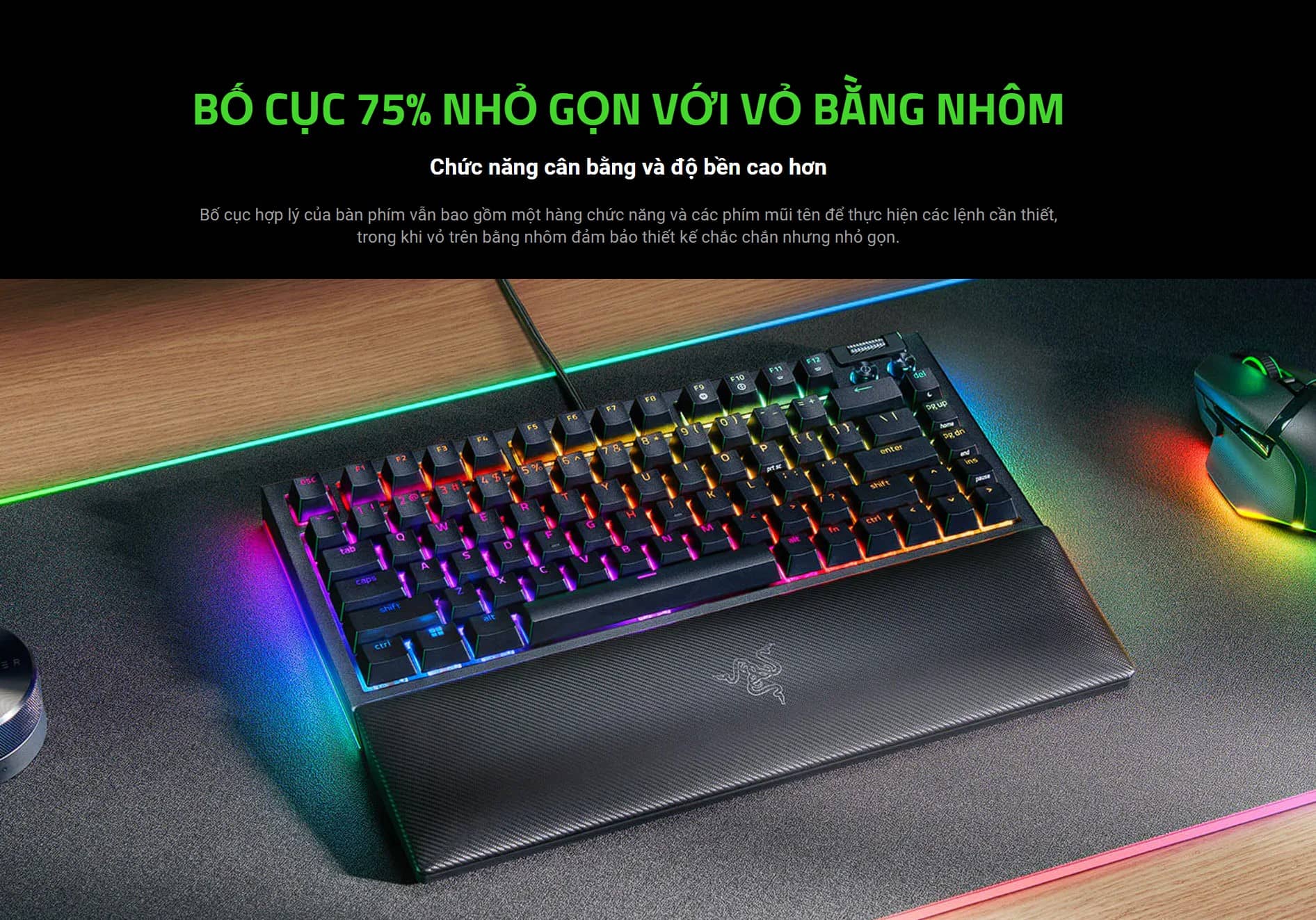 Bàn phím cơ có dây Razer BlackWidow V4 75% RGB