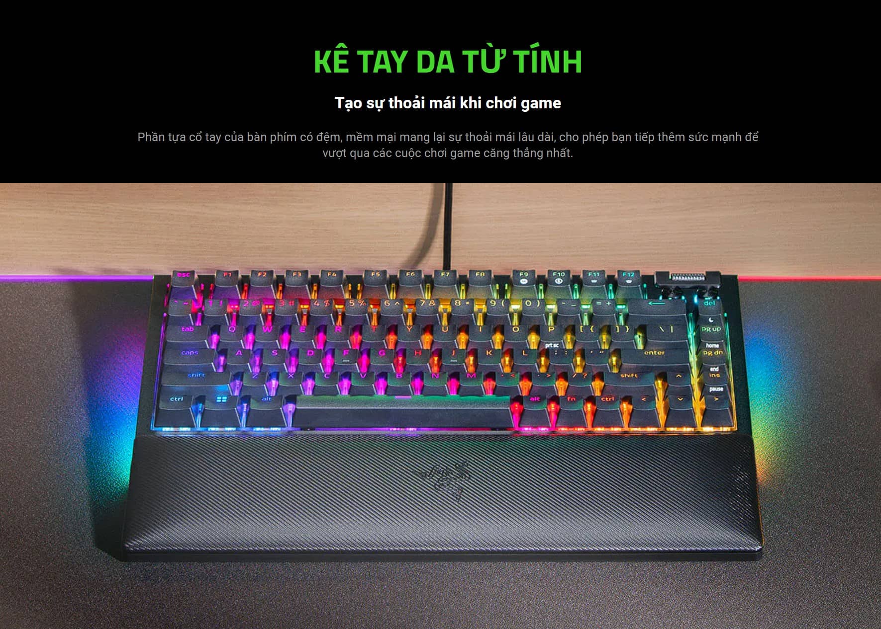 Bàn phím cơ có dây Razer BlackWidow V4 75% RGB
