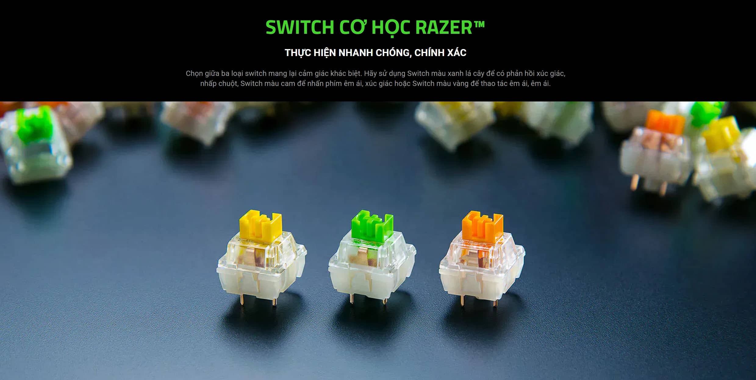 Bàn phím cơ gaming có dây Razer BlackWidow V4 Pro