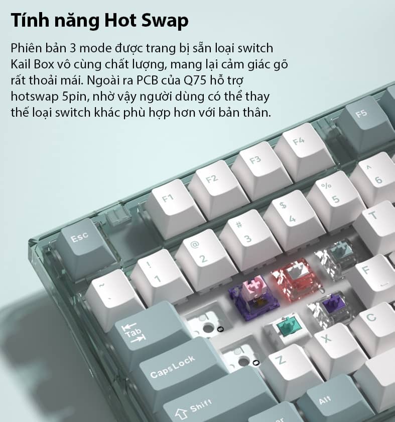 Bàn phím cơ Không dây FL-Esport Q75 Blue Haze 3 Mode Jellyfish sw 7