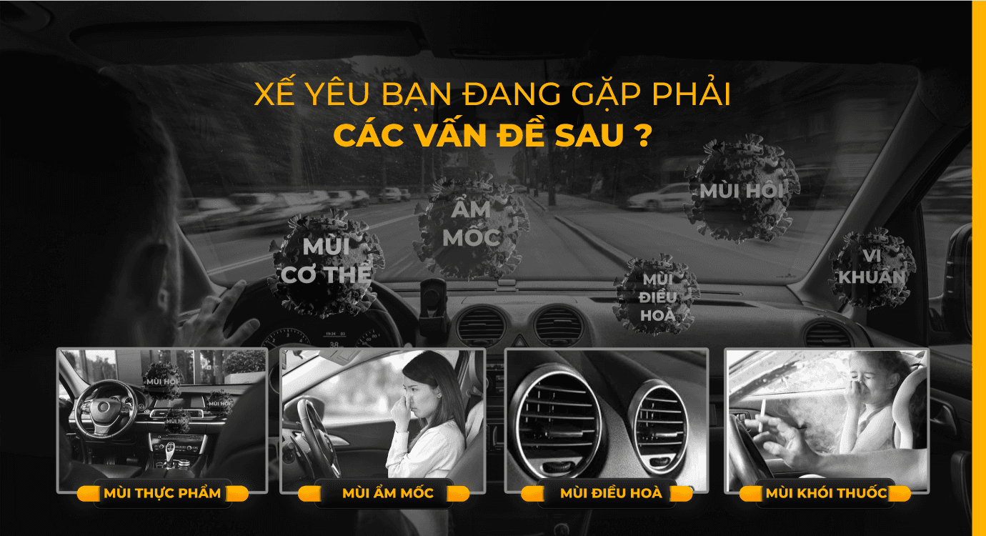 Tinh dầu treo DR.MARCUS ARTE 6ml