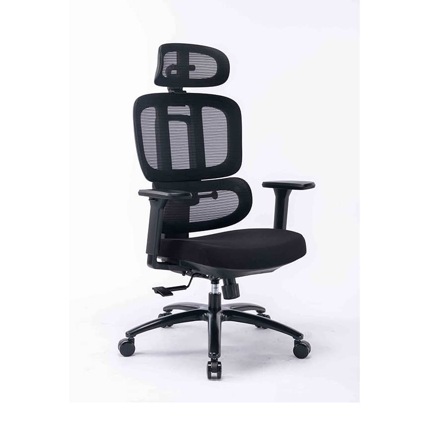 Ghế Công Thái Học Ergonomic WARRIOR HERO Series WEC509